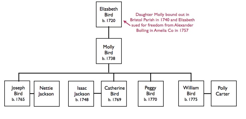 Family tree of Elizabeth Bird who may be connected to the Saponi Indian cabins. © Kianga Lucas