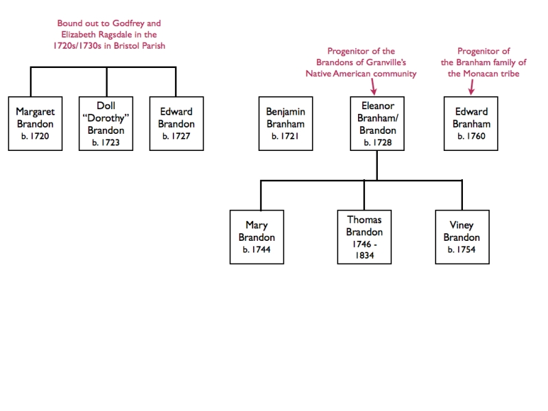Family tree of the Brandon/Branham family. The Brandons bound out to Godfrey and Elizabeth Ragsdale may be connected to the Saponi Indian cabins. The other Brandon/Branhams are connected to known Saponi/Eastern Siouan communities. © Kianga Lucas