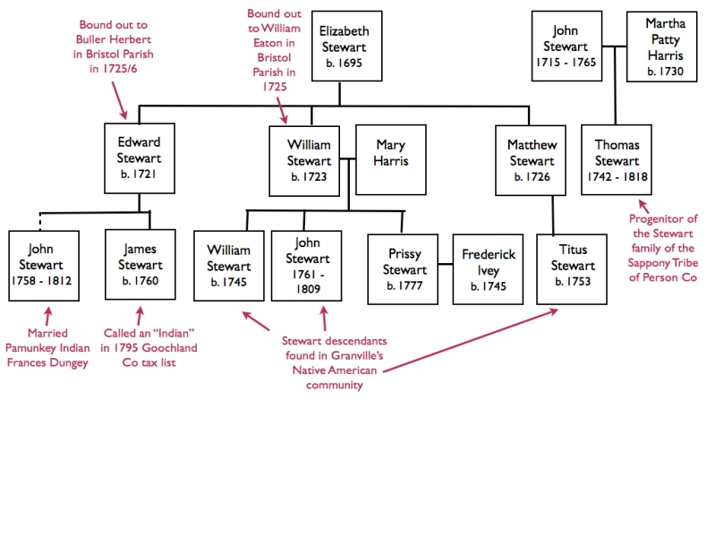 Family tree of Elizabeth Stewart who may be connected to the Saponi Indian cabins. © Kianga Lucas